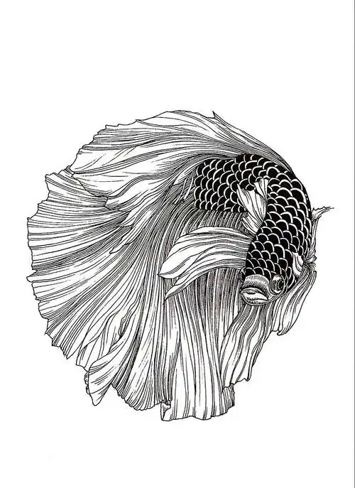 黑白动物绘|纯艺术|绘画|地主家也没有余粮 - 原创作品 - 站酷 (zcool