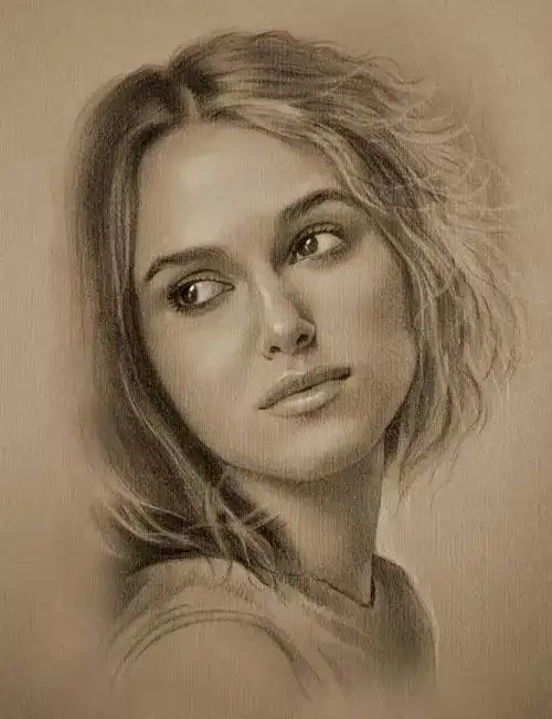 这些素描作品其实是用铅笔画出来的风格类似照片处理的效果