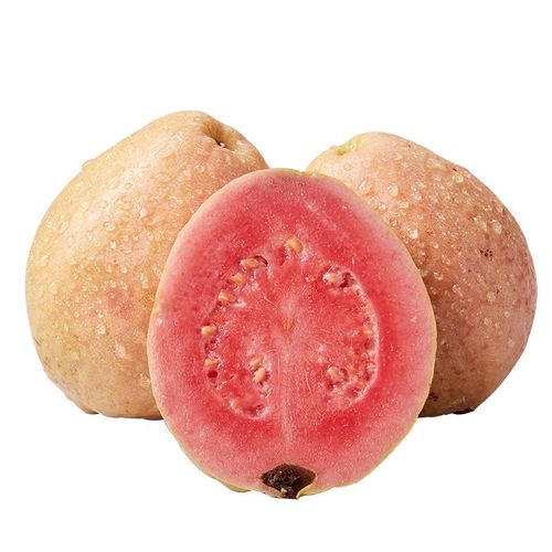 漳州树上小土芭乐香软红白黄金番石榴胭脂红5斤芭乐