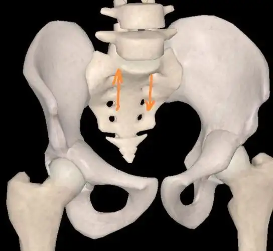 骶骨人体上的拱心石