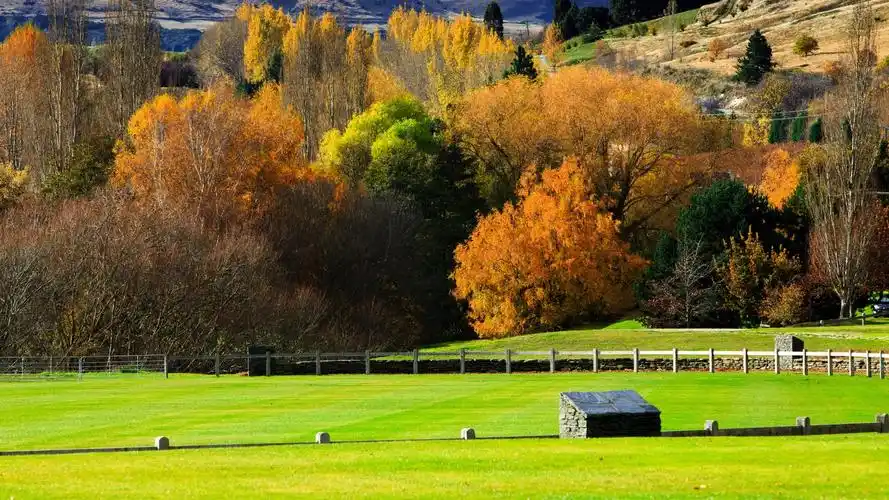 新西兰美丽风景
