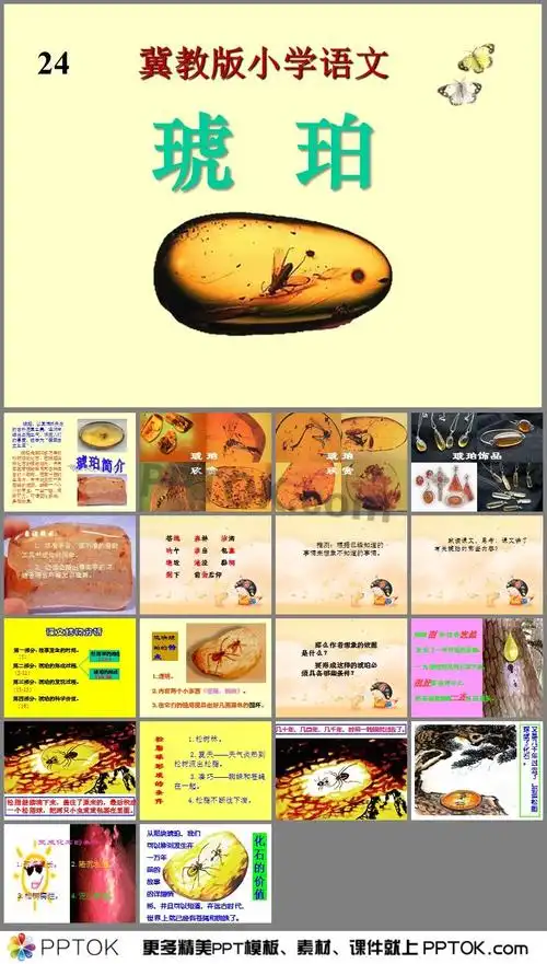 《琥珀》ppt课件6