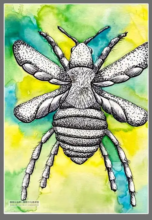 绘画参考素材|色彩与线条的鲜明对比--趣画"昆虫记"