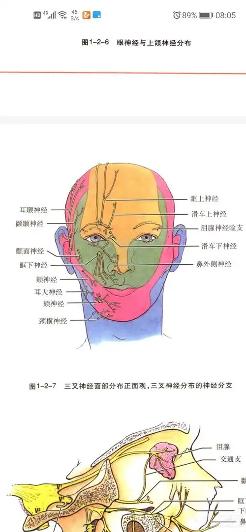 联想到在做重睑手术,特别是重睑修复手术时,是不是可以行眶上神经阻滞