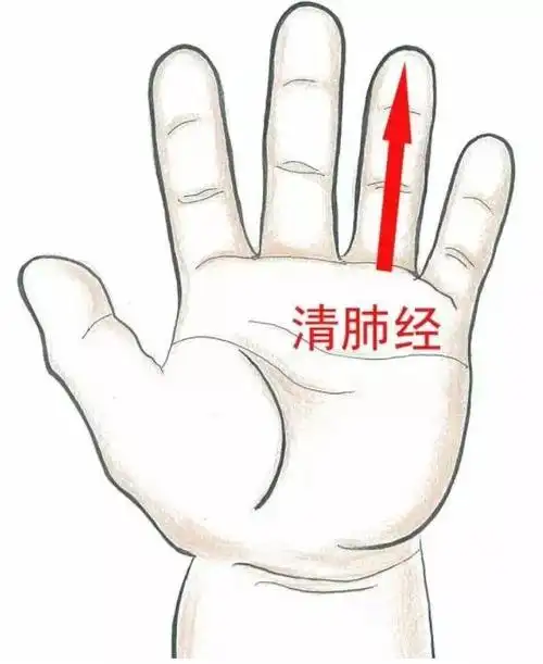 2.清肺经