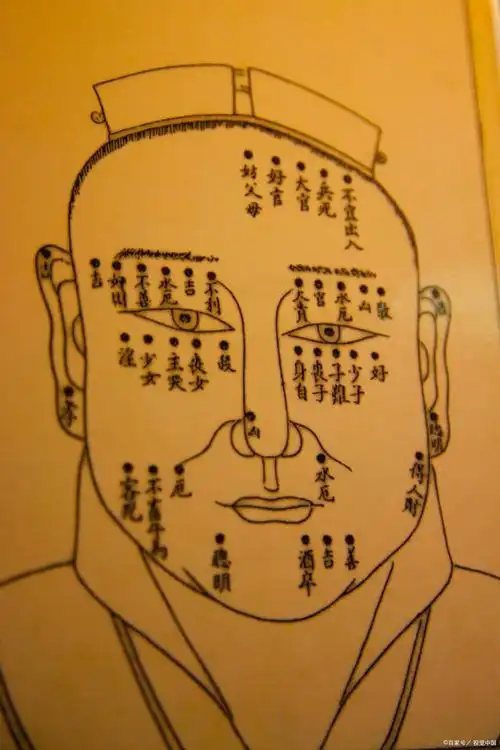 面 面相占卜:面型 三停 额头 法令 口唇 牙齿