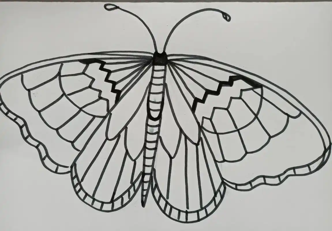 昆虫记2#昆虫总动员 #昆虫记 #昆虫记简笔画 #蝴蝶儿童画 - 抖音