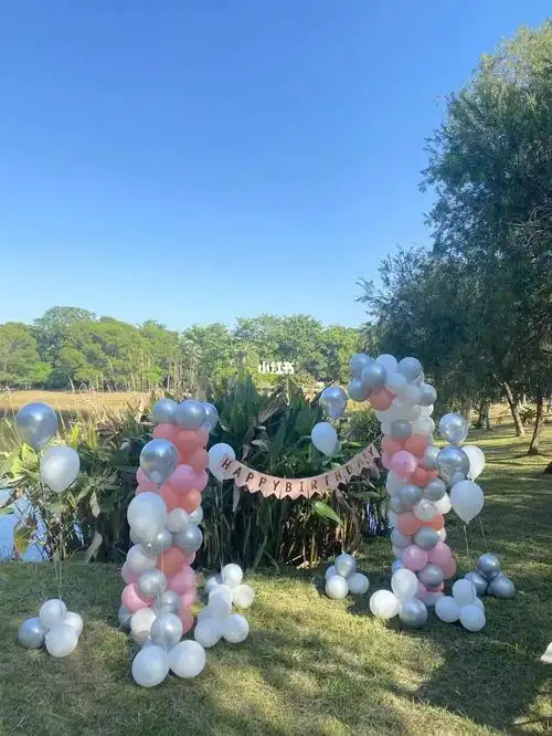 野餐,户外生日布置