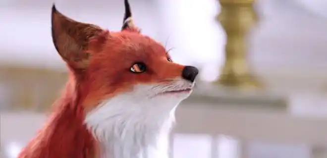 虽然变成了普通的小红狐狸,凤九却十分满足,因为帝君对她这个小红狐狸