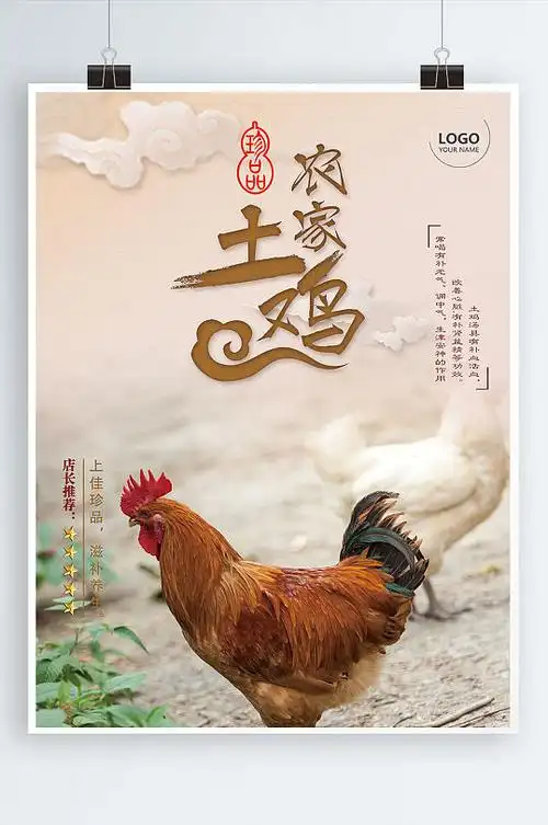 鄱阳湖生态土鸡土鸭店招图片