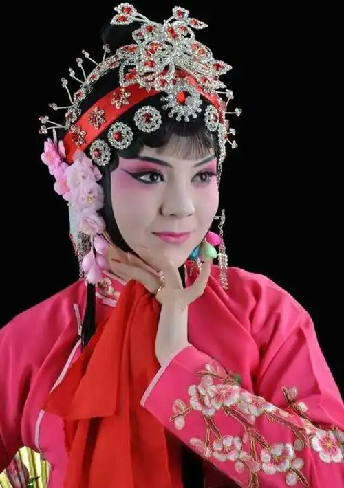 豫剧《桃李梅》刘帅毅