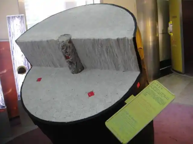 放大10000倍的头发(中间圆的是毛髓,黑色的是色素颗粒,中间的是