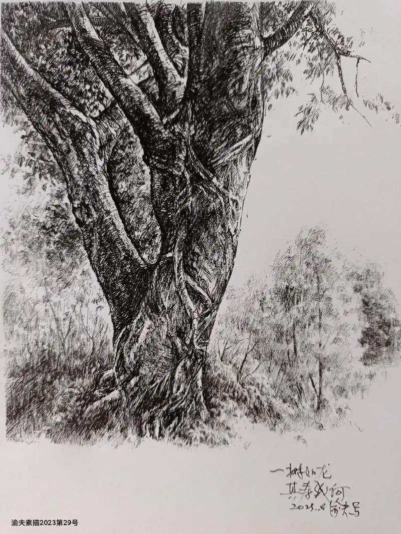 素描:树的写生.翠湖,金山公园.  钢笔,a4纸  音乐:排 - 抖音