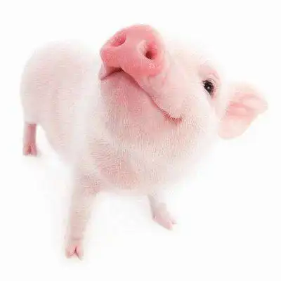 头像高清 上一组 上一张 7/18张图片 下一张 下一组 相关专题 可爱