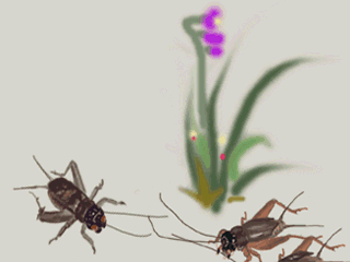 320_240gif 动态图 动图