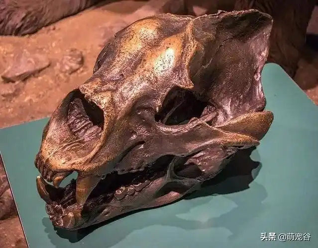 太古代十大恐怖生物(史前远古时代灭绝的可怕动物)-临渡百科