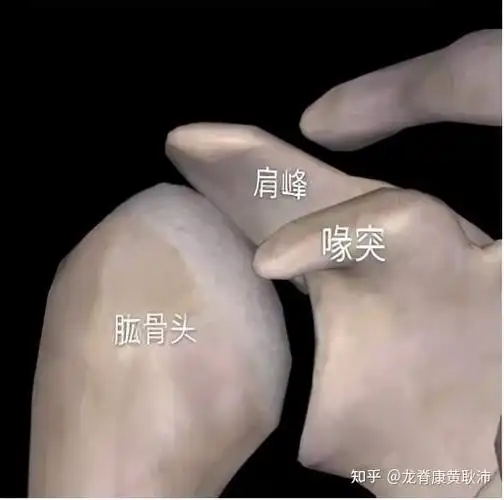 肩痛不一定是肩周炎,有可能是肩峰撞击征!2个试验自测