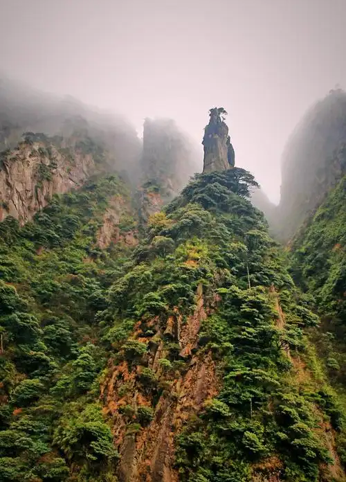 三清山仙境--云海