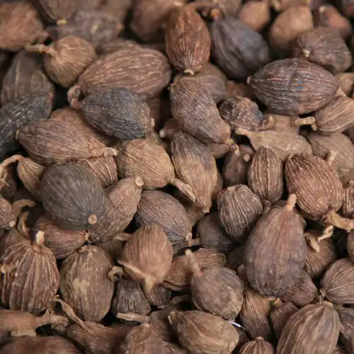 一起来看看草果和肉蔻的区别