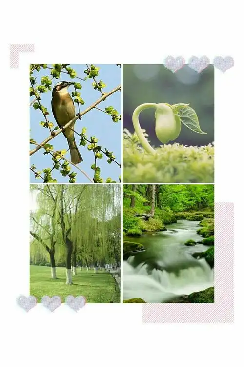 小三班 音乐活动《春天在哪里》