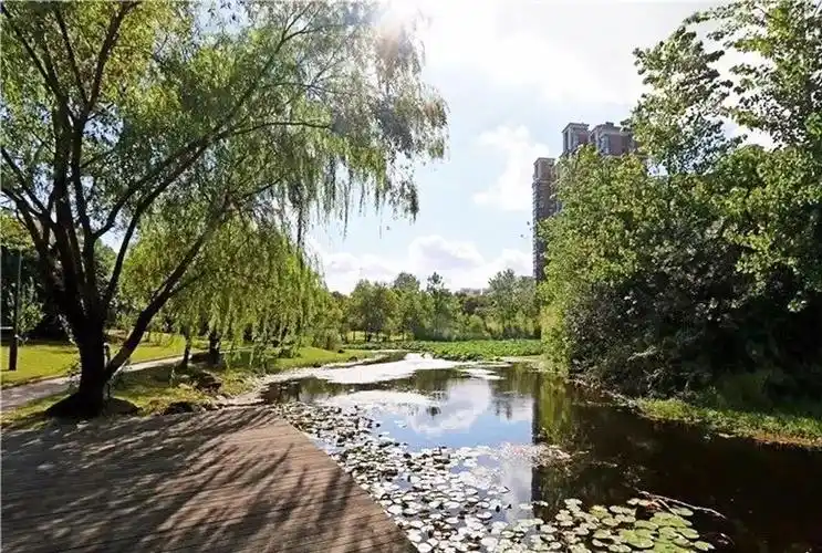 几条依水而建的步道将整个春申塘北岸滨水风光带连为一体,不仅完善了