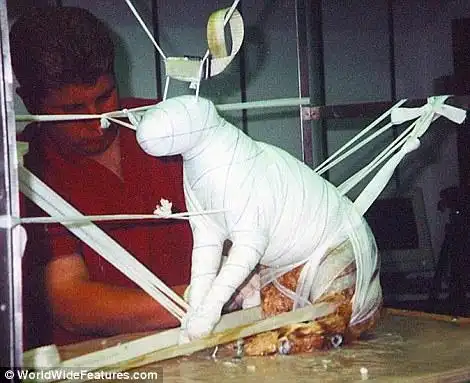 据英国《每日邮报》报道 美国有一家木乃伊制作公司是全球唯一一家