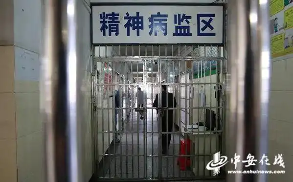 抑郁的,偏执的……他们既是病人,也是犯人,在这神秘的大门内,精神病犯
