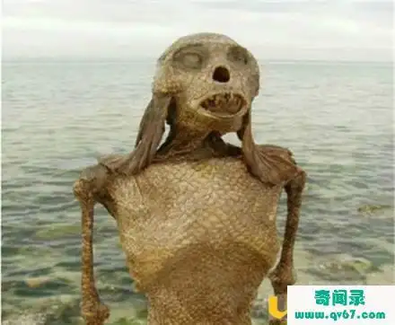 世界上真的有美人鱼吗外媒曝光了一组美人鱼真实照片令人惊悚