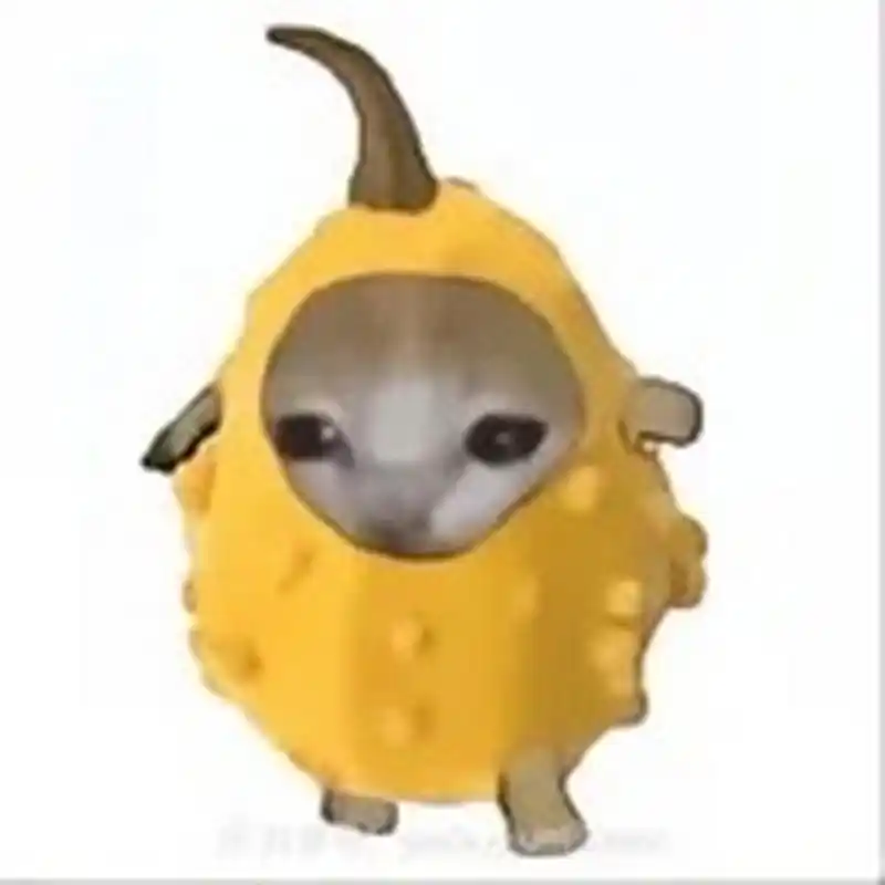 趣图搞笑# 香蕉猫和他的朋友们2,你最喜欢哪个?