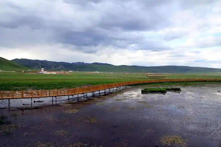 甘南若尔盖花湖旅游景点特色:川西北高原的绿洲