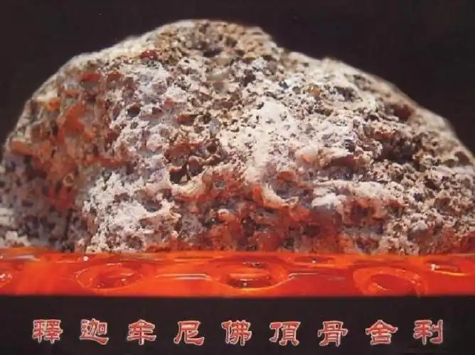 【转】【组图·视频】释迦牟尼佛顶骨舍利,众生因缘具足故得瞻仰,得福