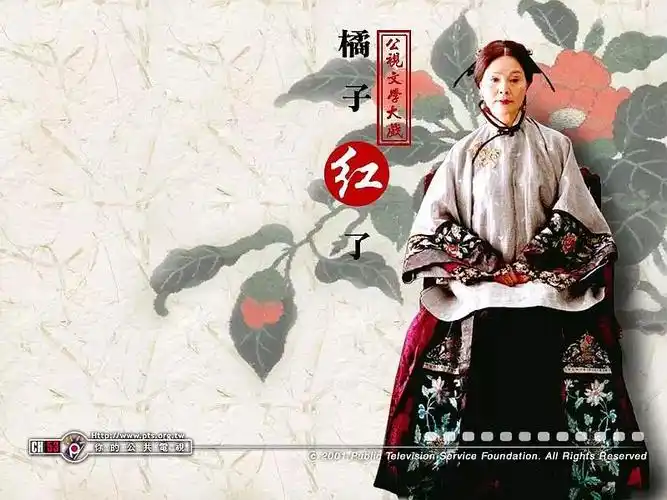 《橘子红了》人物分析(部分)