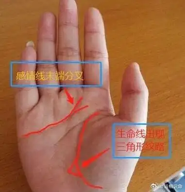 手相刘亦菲超话赵露思超话摩登兄弟超话看手中的感情线感情线可以说是