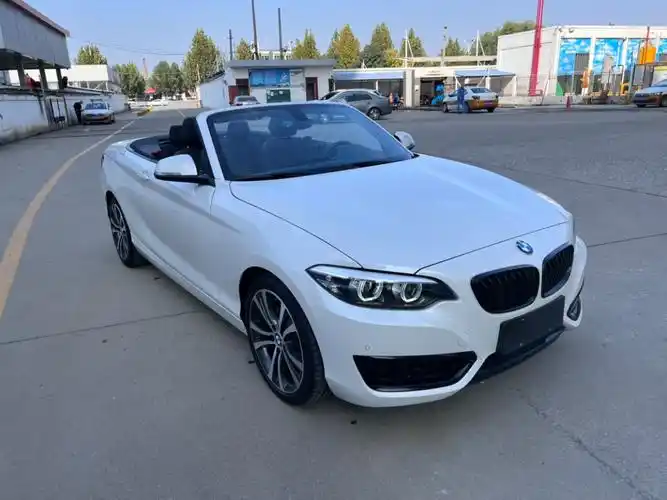 宝马 宝马2系  2019款  225i 敞篷轿跑车 运动设计套装图片