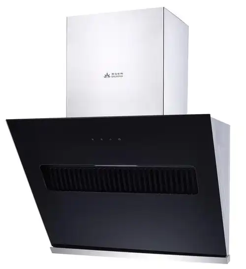 by-tj09g-侧吸式烟机-港华紫荆