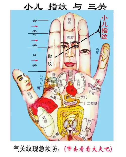 看小儿指纹能得出什么