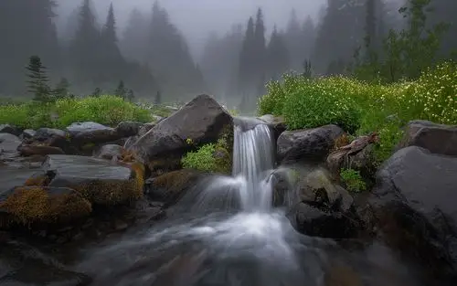 瀑布,小溪,石头,草,树,雾,早上 壁纸