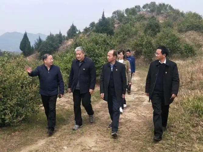 难忘的茶油情(范东升)