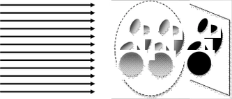 根据前面介绍的b超原理,我们很难想象两个胎儿会在一个扇形剖面上重合