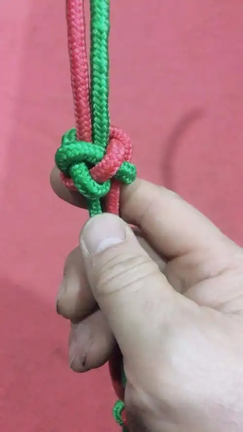 双绳双线纽扣结打法