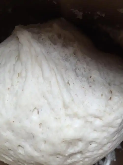 这个时候面包机的面团发酵成2倍大,蜂窝状,继续用面包机和面的功 100