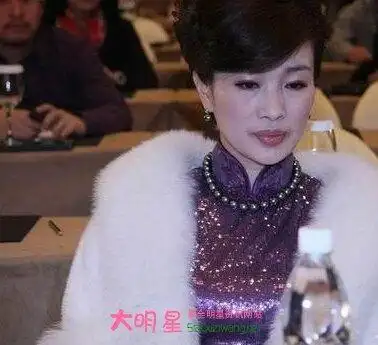 周立波老婆胡洁个人资料照片