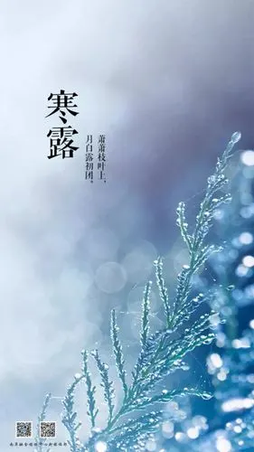 微节气 | 今日寒露