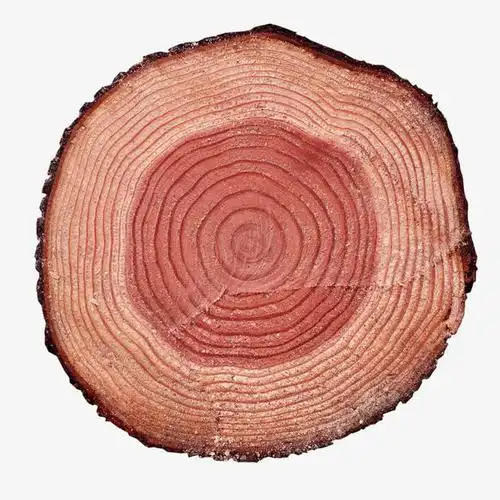 褐色简约木纹年轮装饰图案