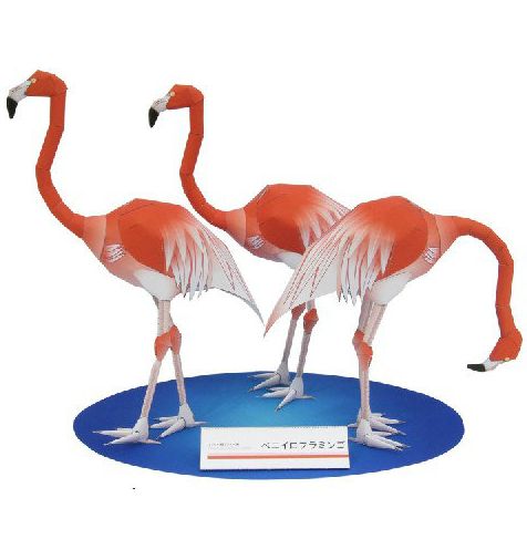 儿童手工折纸diy拼装益智立体3d纸质模型玩具仿真动物制作火烈鸟