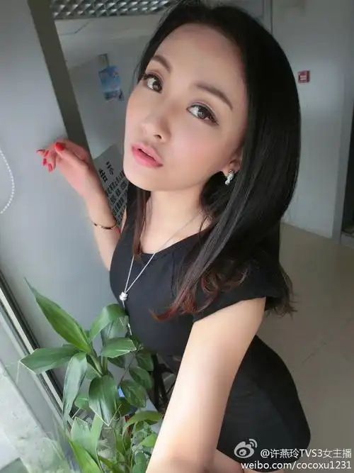 tvs3女主播许燕玲