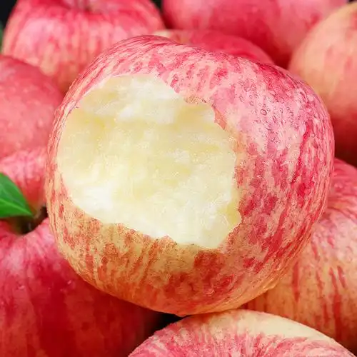 洛川红富士苹果应季新鲜脆甜水果