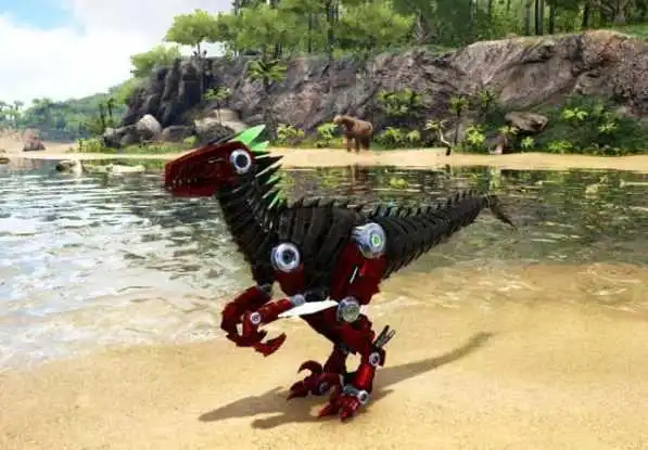 如何驯服师祖鸟