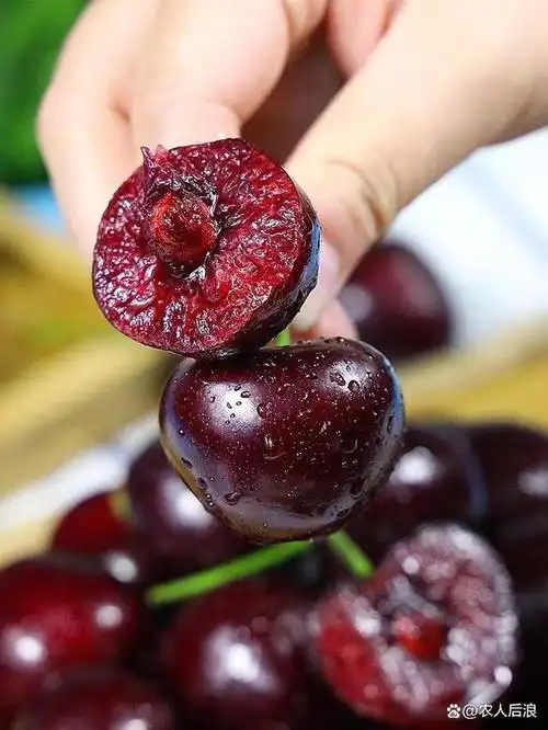 阿根廷车厘子6.