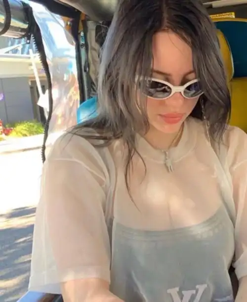 billieeilish赞评论更多